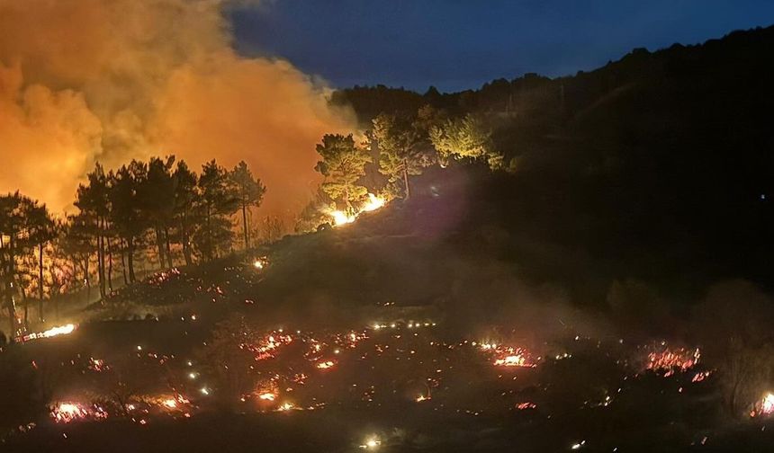 Dalaman'daki orman yangını büyüyor! Evler alevlere teslim