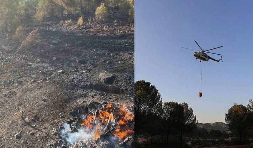 Köyceğiz'de korkutan yangın! Alevler kontrol altına alındı