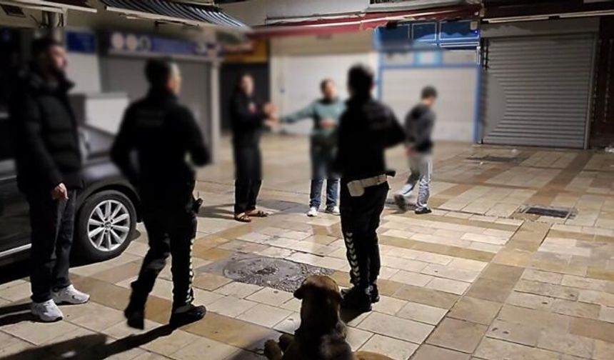Bodrum’da iki grup arasında kavga çıktı: Yumruklar konuştu