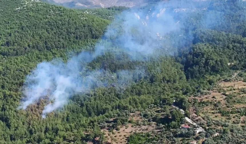 Kavaklıdere yangınının bilançosu belli oldu!
