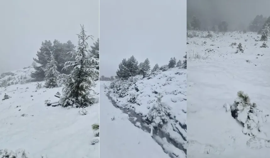 Muğla’ya yılın ilk karı düştü!