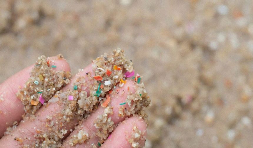 Datça Çevre Koruma Bölgesi'nde mikroplastik kirliliği