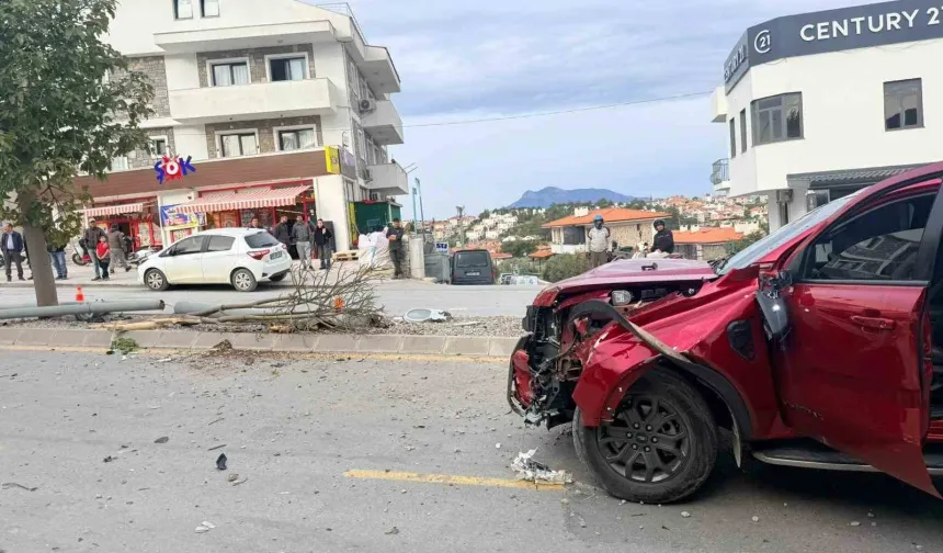 Datça’da kontrolden çıkan araç, ağaçları ve direği yerinden söktü