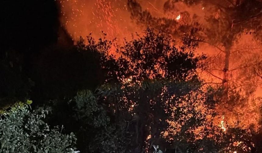 Dalaman'daki orman yangını büyümeden söndürüldü