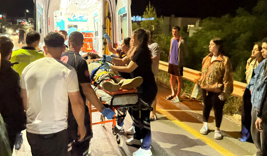 Bodrum'da motosiklet domuza çarptı: İki yaralı