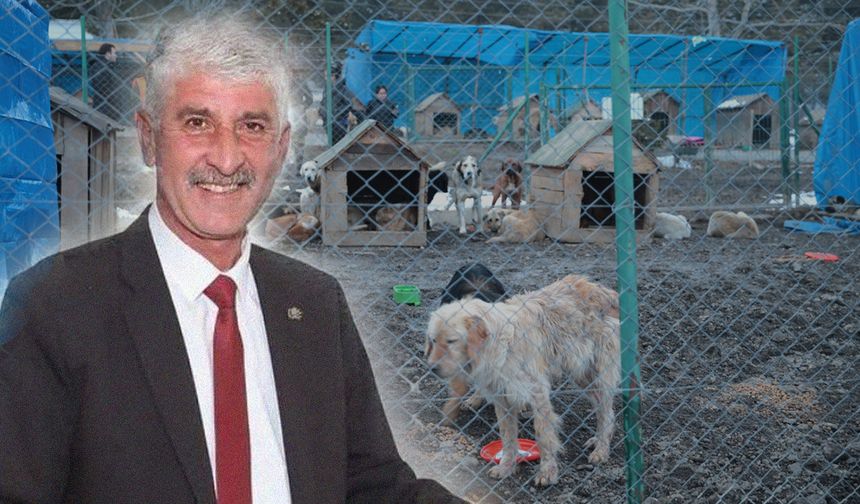 Köyceğiz Belediye Başkanı Erdoğan'a soruşturma izni gerekçesi: 'Sokak hayvanları'