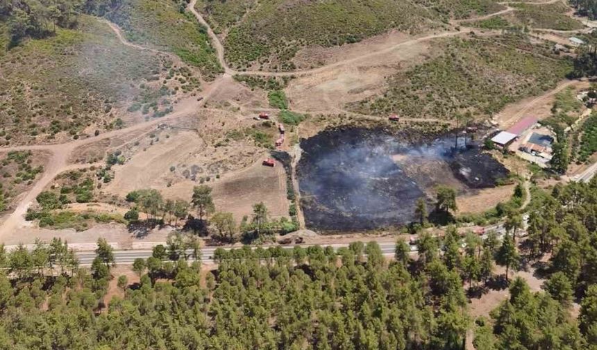 Marmaris’teki yangın büyümeden söndürüldü