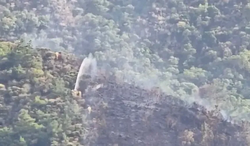 Marmaris’te yıldırım nedeniyle çıkan yangın kontrol altında