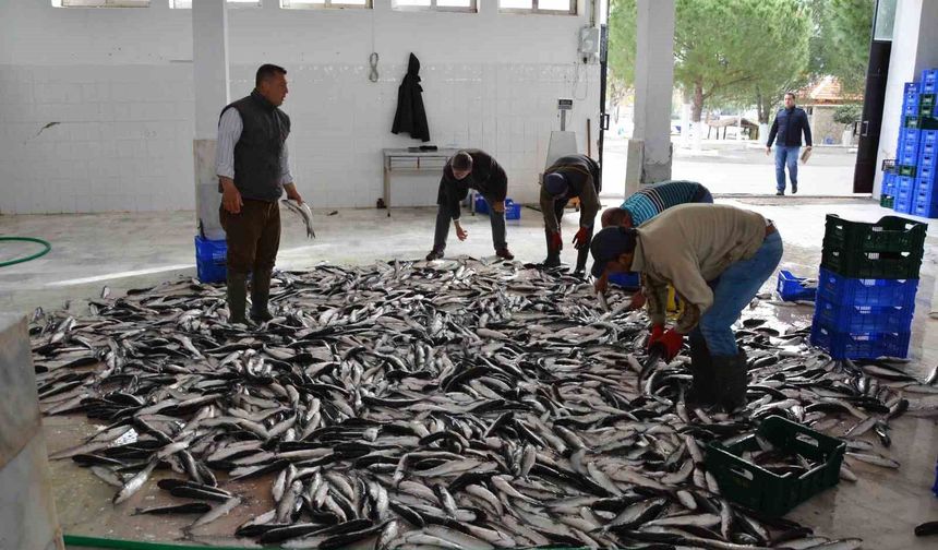 Muğla ihracatını arttıran iller arasında yer aldı