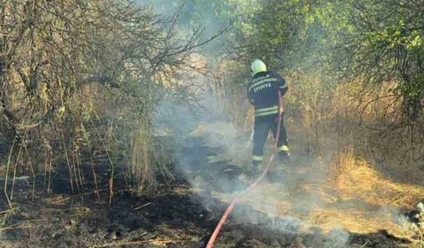 Muğla ve Aydın’da yıldırım kaynaklı altı orman yangını