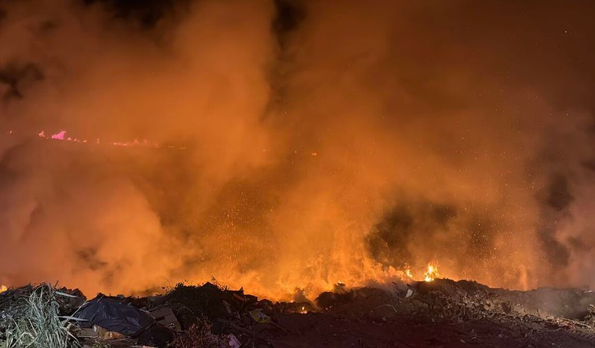 Bodrum'da gece makilik alanda çıkan yangın kontrol altında