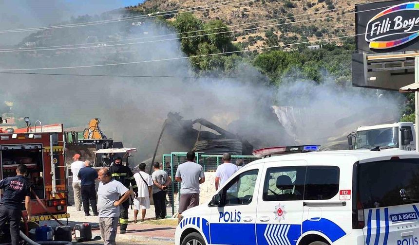 Bodrum'da yapı market yangını: Bir kişi yaralı