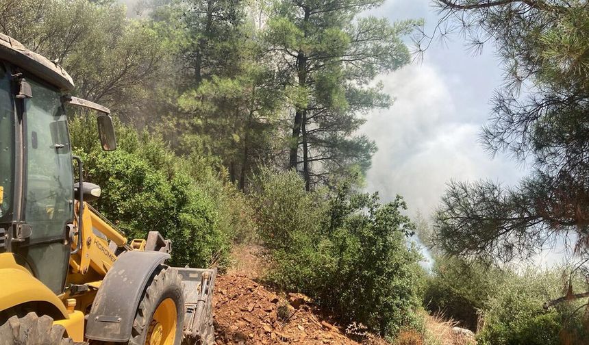 Bodrum'daki orman yangını kontrol altında