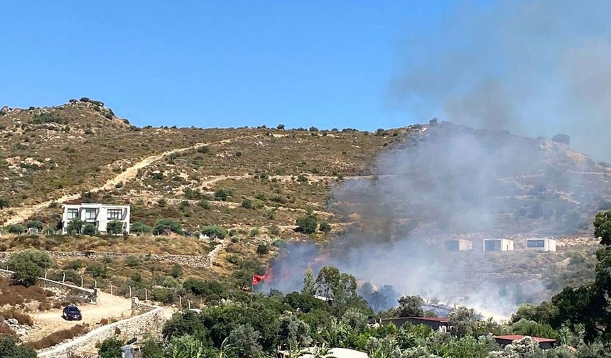 Bodrum'da yine makilik yangını: Kontrol altında