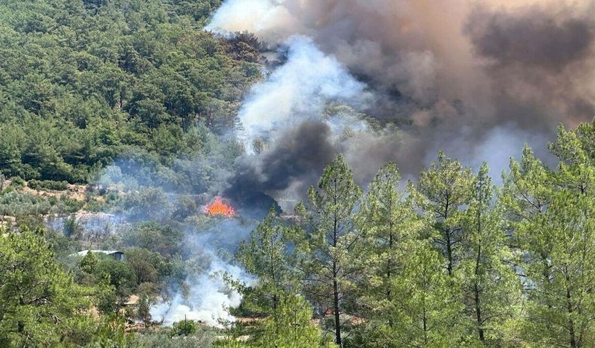 Göcek'te orman yangını: Yerleşim yerlerine yakın