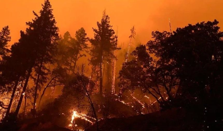 Göcek yangınının enerjisi düşürüldü, evlere dönüş başladı