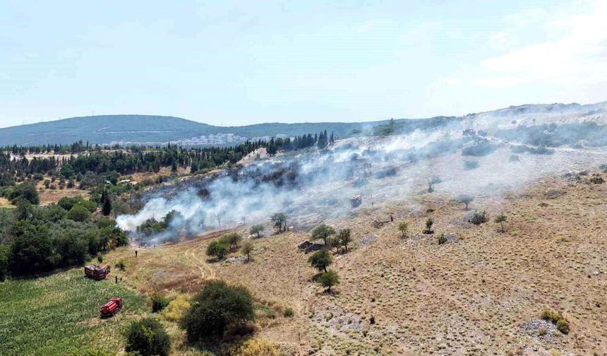 Menteşe'deki makilik ve zeytinlik yangını kontrol altında