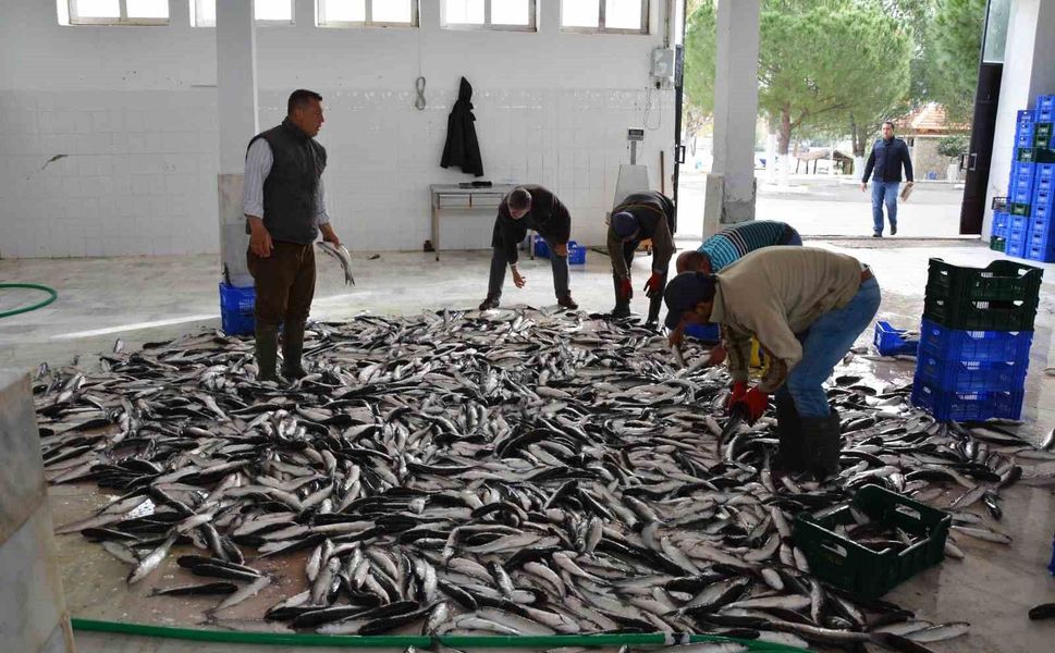 Muğla ihracatını arttıran iller arasında yer aldı
