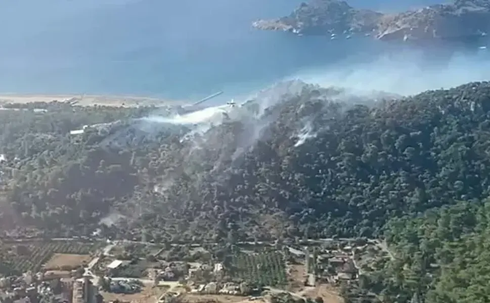 Ormanlar için 'daha önce görülmemiş sıcaklık' uyarısı