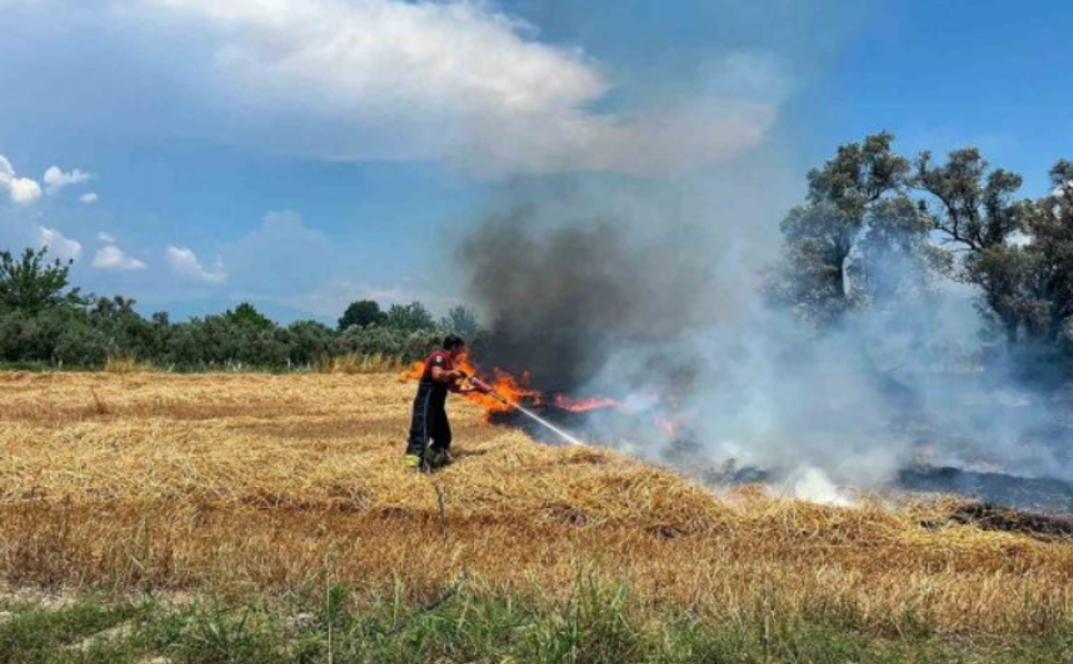 Seydikemer'de yangın: Samanlık ot ve zeytin ağaçları yandı
