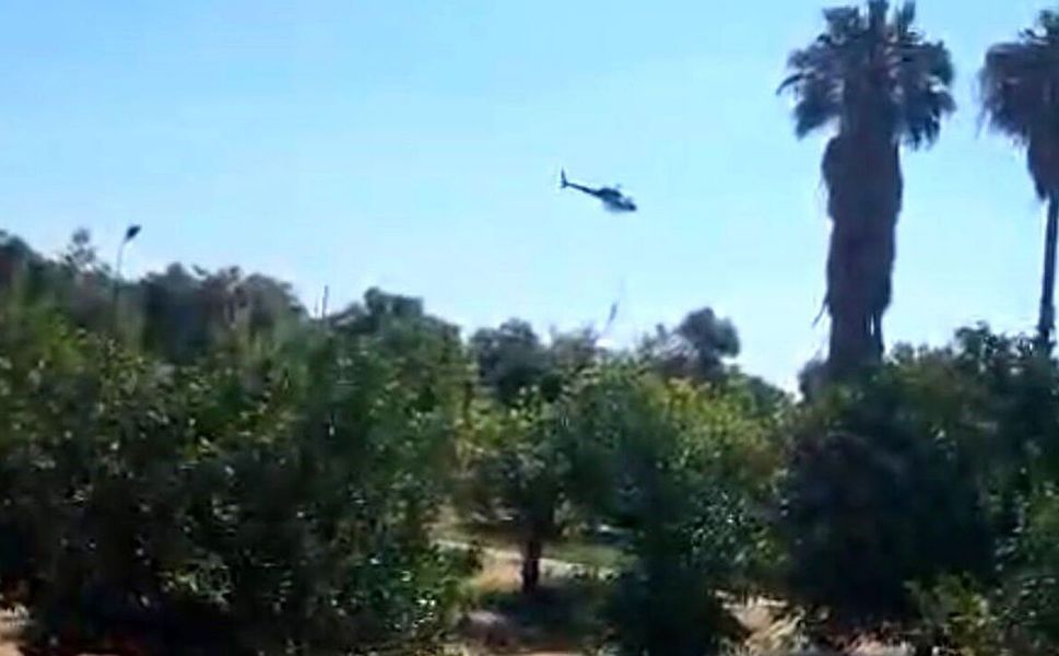 Marmaris'teki zirai alan yangını ormana sıçramadan söndürüldü