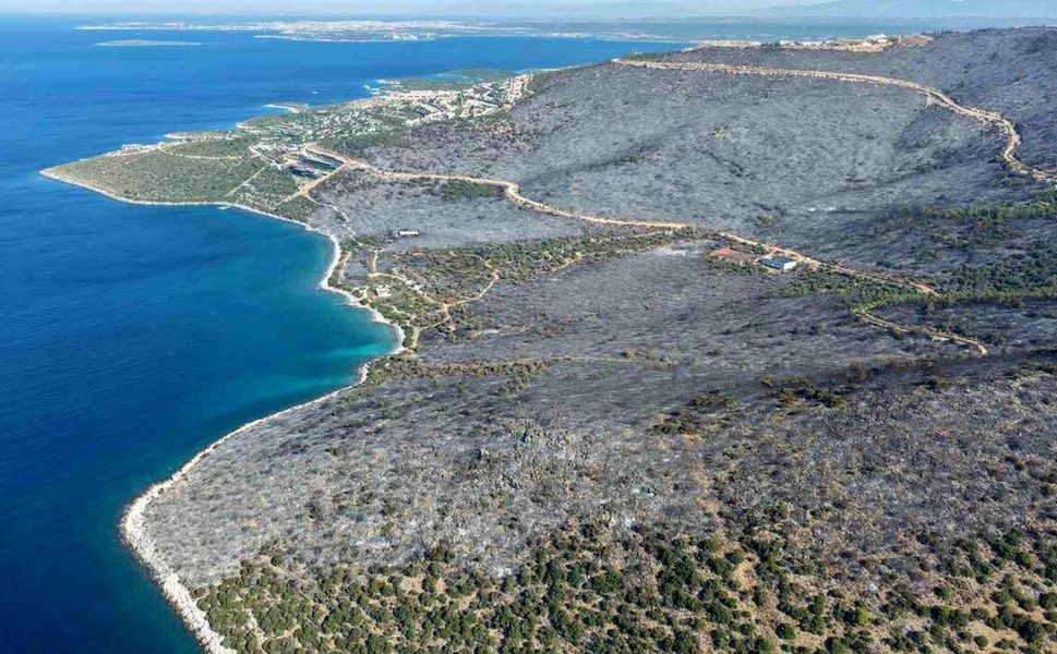 Milas yangını kontrol altında: 850 hektar kül oldu