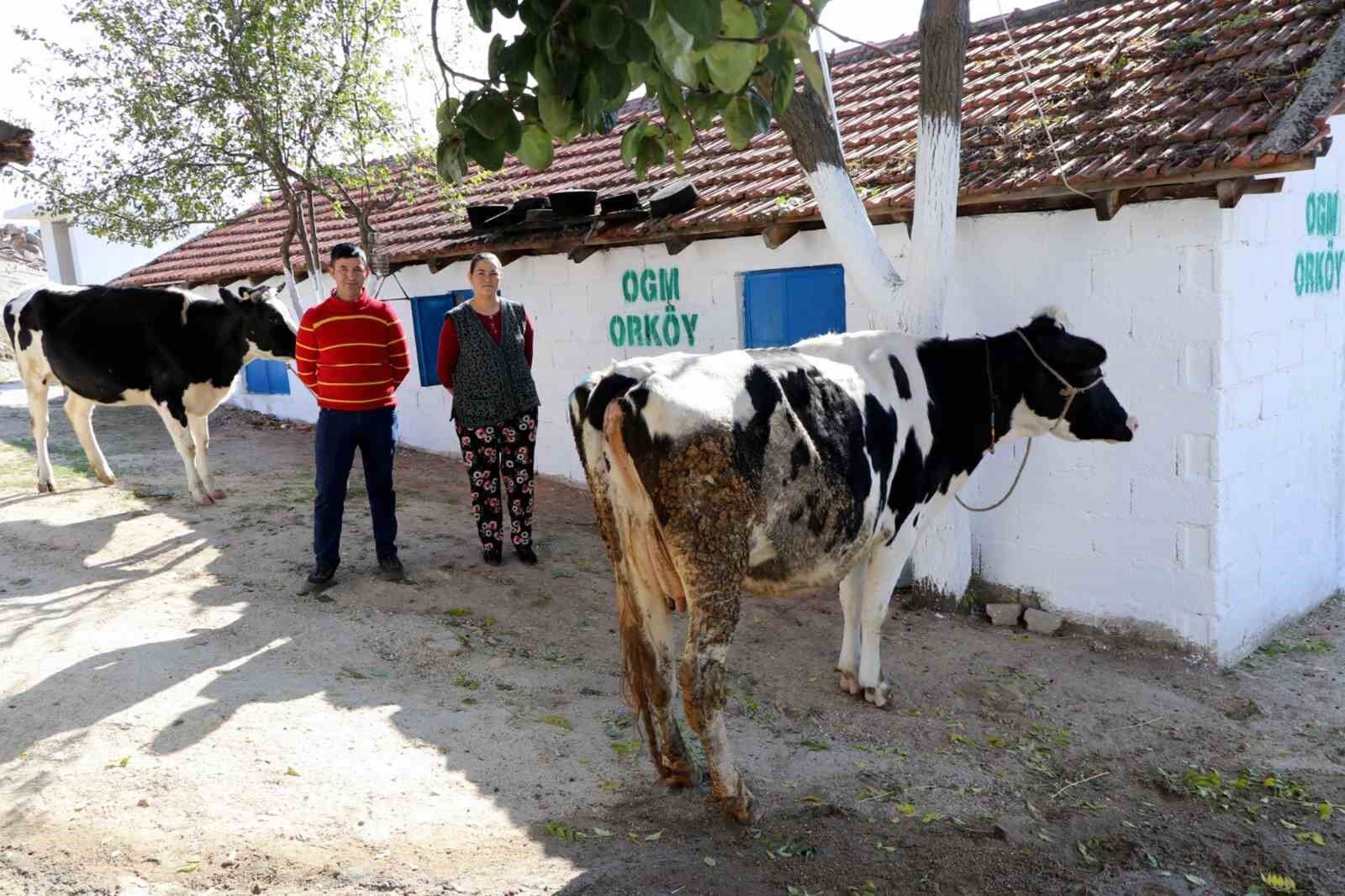 MUĞLA'DA BU İŞİ YAPTILAR MİLYONLUK DESTEĞİ KAPTILAR