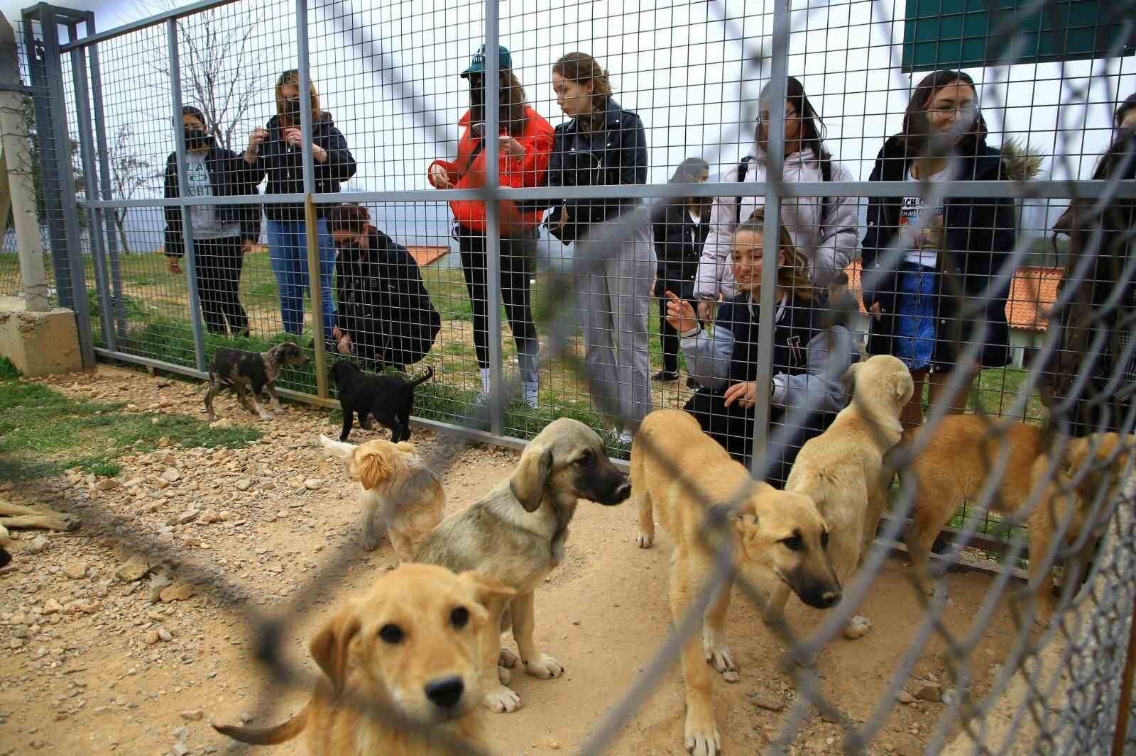 MUĞLA'YI GEZEN HERKES BURAYA AKIN ETTİ: İŞTE ZİYARETÇİ SAYISI