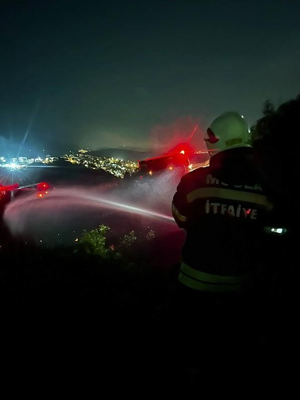 YANGIN OTLUK ALANDAN, ORMANLIK ALANA SIÇRADI