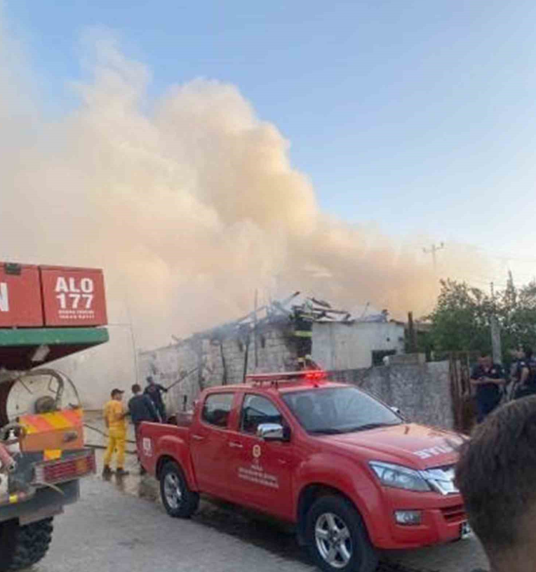 MUĞLA’DA KORKUTAN YANGIN! BÜYÜK ZARAR VAR!
