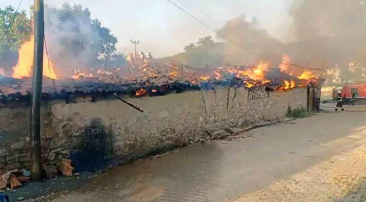 MUĞLA’DA KORKUTAN YANGIN! BÜYÜK ZARAR VAR!