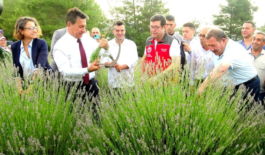 MUĞLA BÜYÜKŞEHİR BELEDİYESİ LAVANTA ŞENLİĞİ DÜZENLEDİ