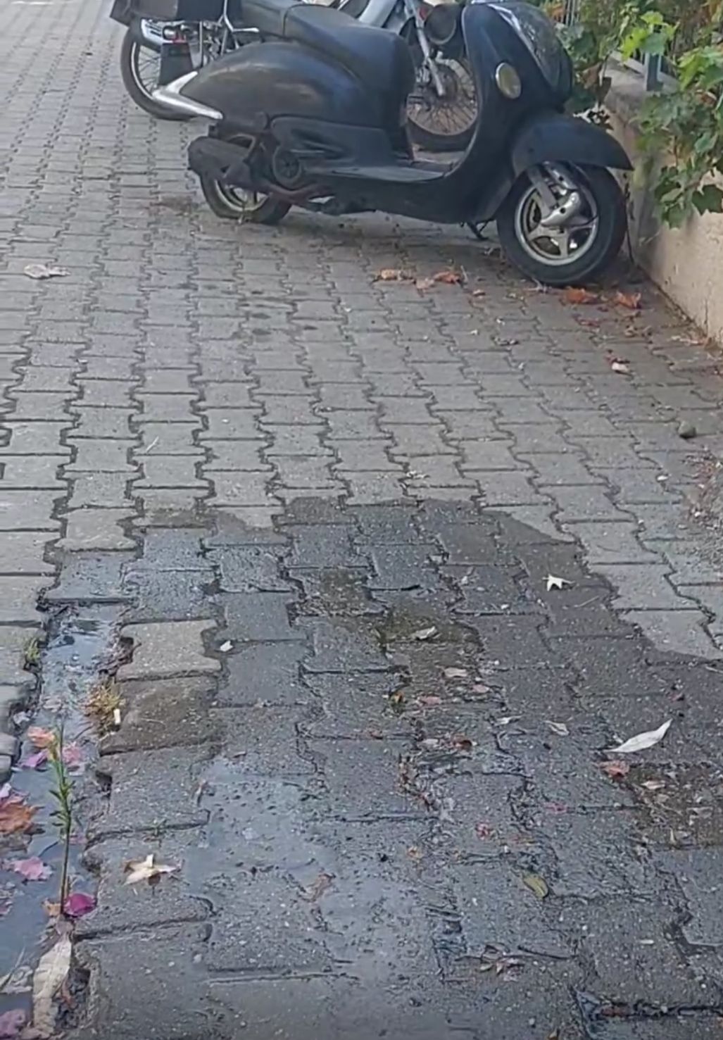 MARMARİS'TE ÇILDIR MAHALLESİ'NDE YOLUN ORTASINDA 5 GÜNDÜR DURMADAN SU AKIYOR!