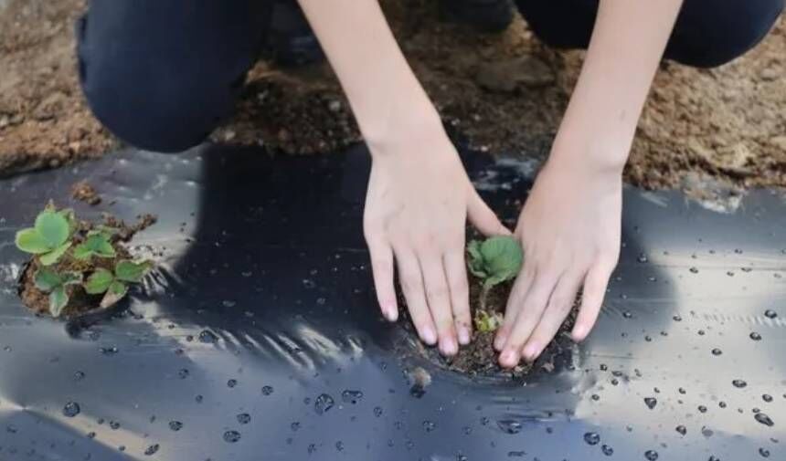 Muğla’da Okuldaki Çiftlik Projesi büyüyor