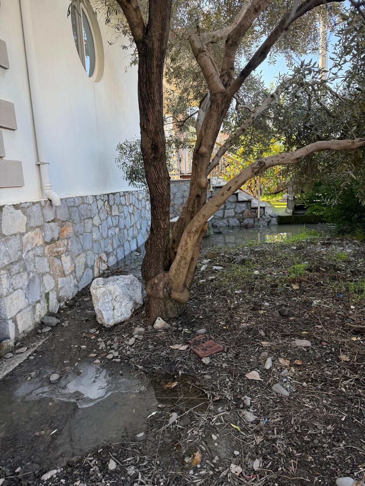 Dalamanlı vatandaş lağım sularının içinde: 1 aydır ilgilenen yok!