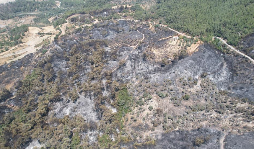 Milas Yangın2