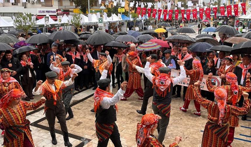 Milas Zeytin Hasat Şenliği Yağmur Altında Kutlandı (1)