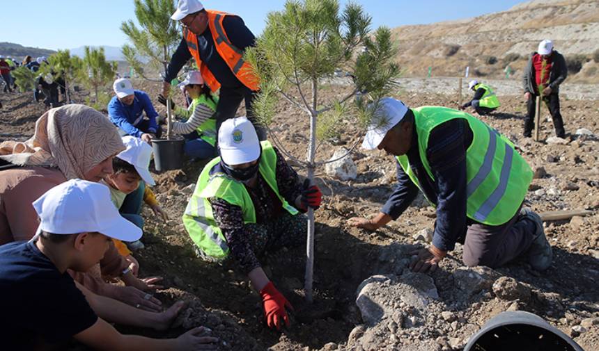 Muğla'da 511 Hektarlık Eski Maden Sahası Doğaya Dönüyor (1)