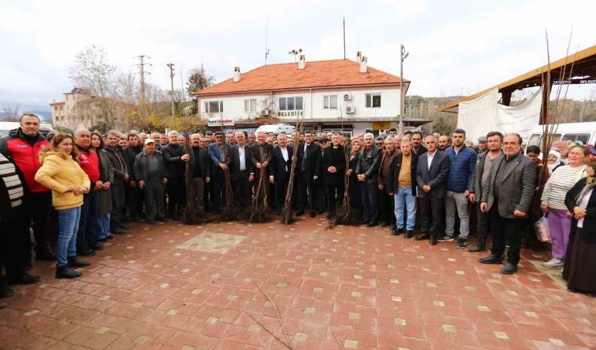 Kavaklıdere’de Üreticilere Cennet Elması Fidanı Dağıtıldı (1)