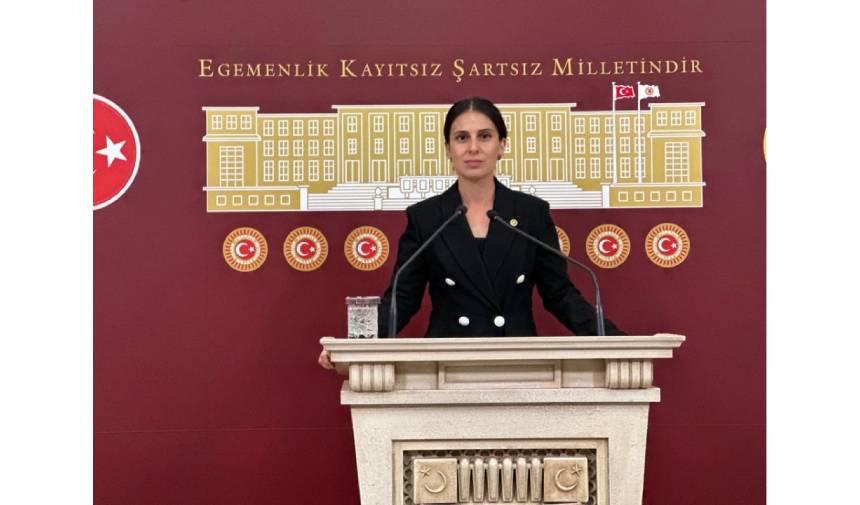 Chp Muğla Milletvekili Gizem Özcan Kimdir Nereli Eğitimi, Hayatı, Mesleği (4)