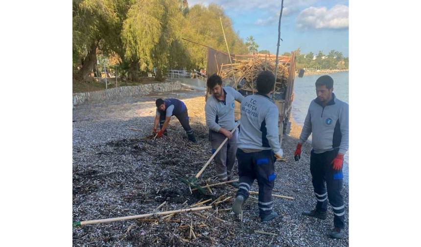 Rodos’un Pisliği Datça’yı Vurdu; Yeniden Temizlik Çalışmaları Planlandı (1)