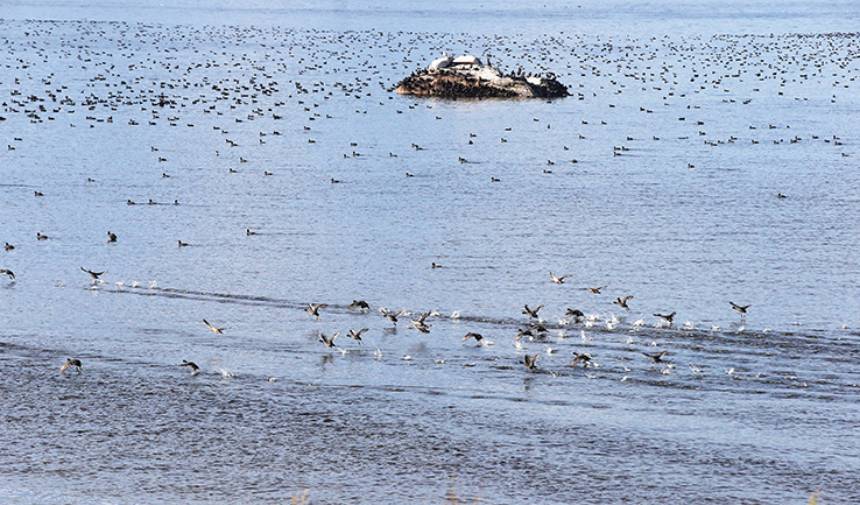 Uluslararası Öneme Sahip Bafa Gölü'nde Su Seviyesi Yükseldi (1)