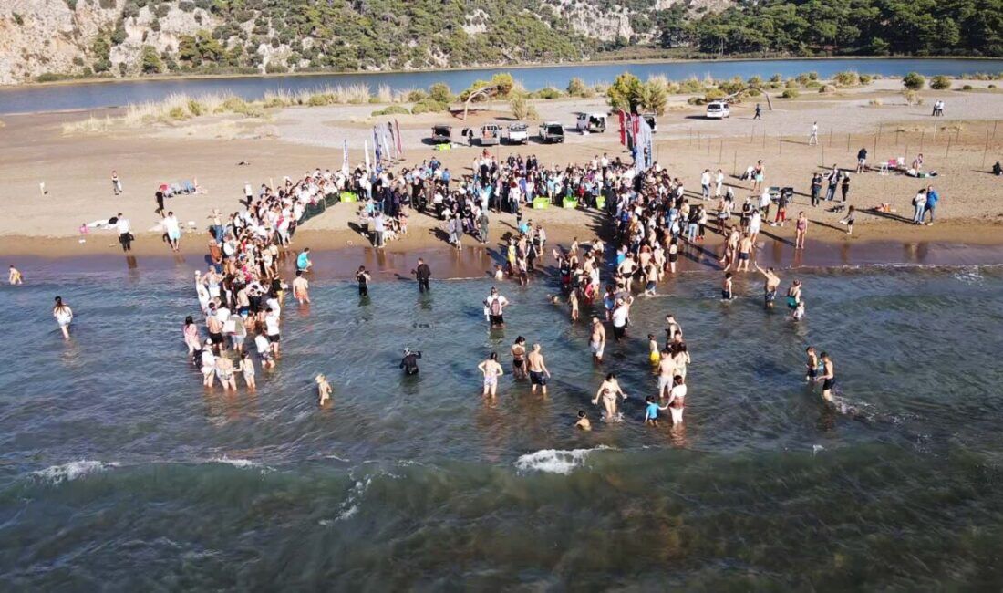 Muglada Tedavileri Tamamlanan Deniz Kaplumbagalari Cumhuriyetin 102 Yili Kapsaminda Denizle Bulustu 7408B34D1Be7 1100X650