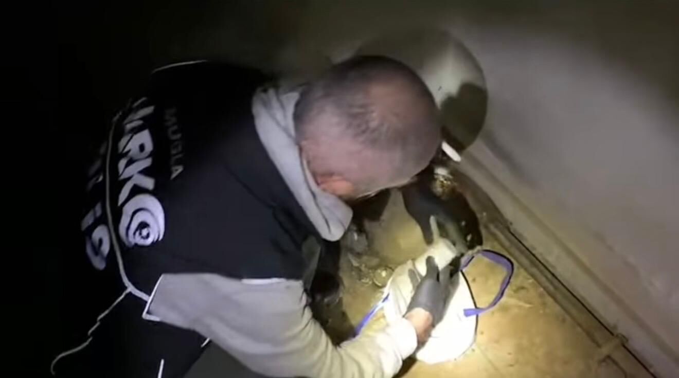 8Ff82C8B 8789 48Bd 837E C38A0Fe27098