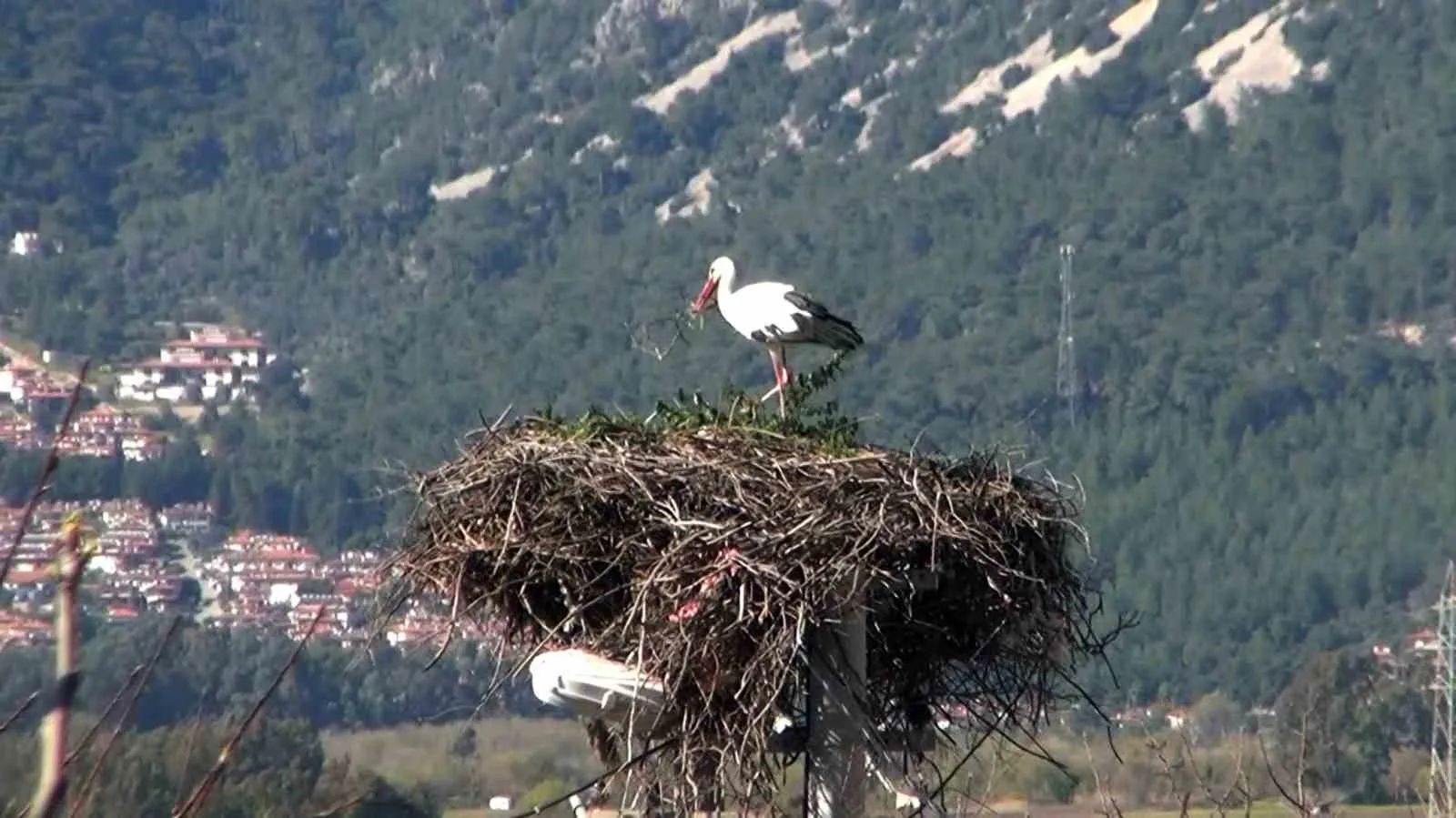 Muğla1-7