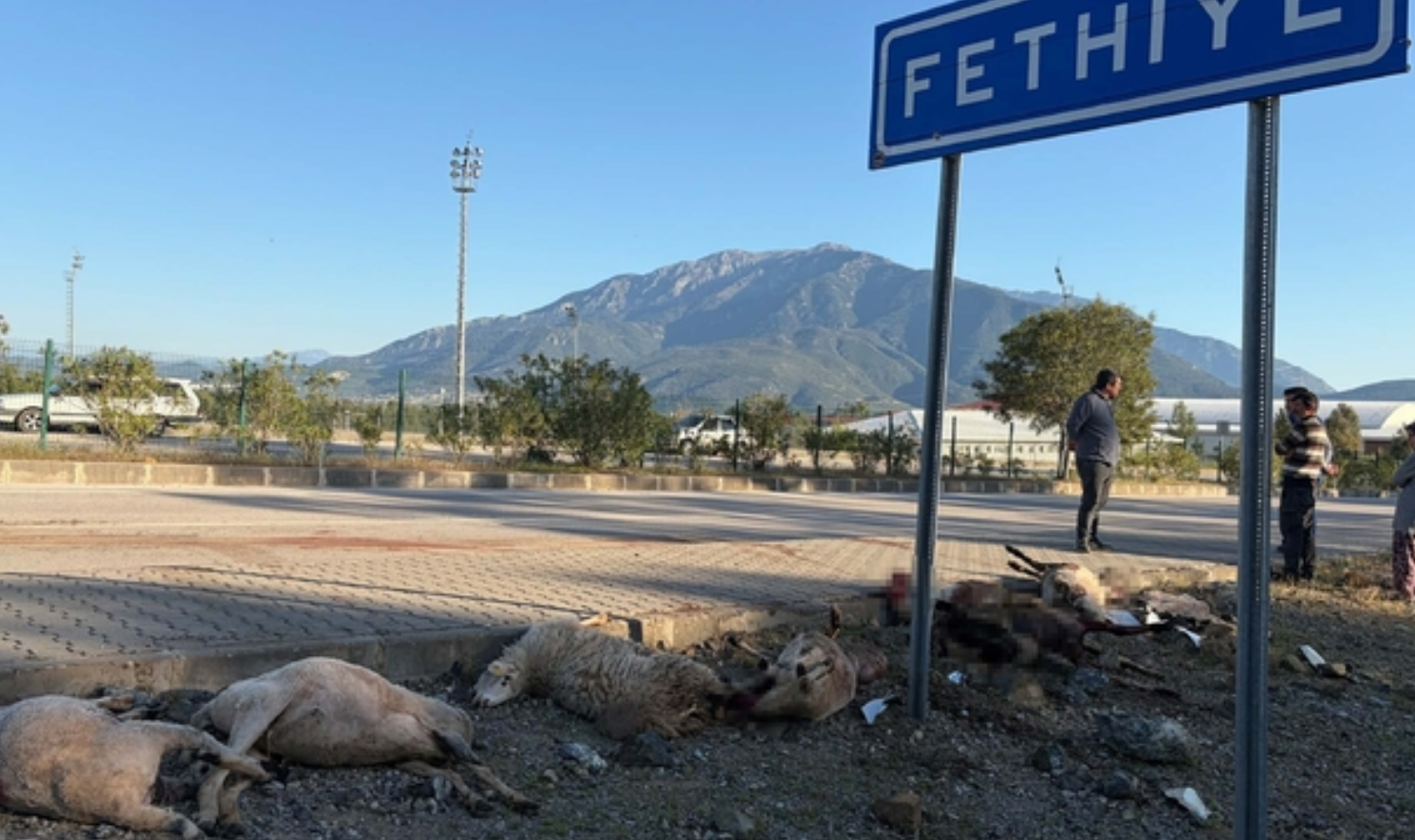 Fethiye Jpg