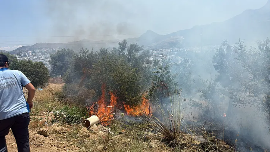 Bodrum Yangın-1