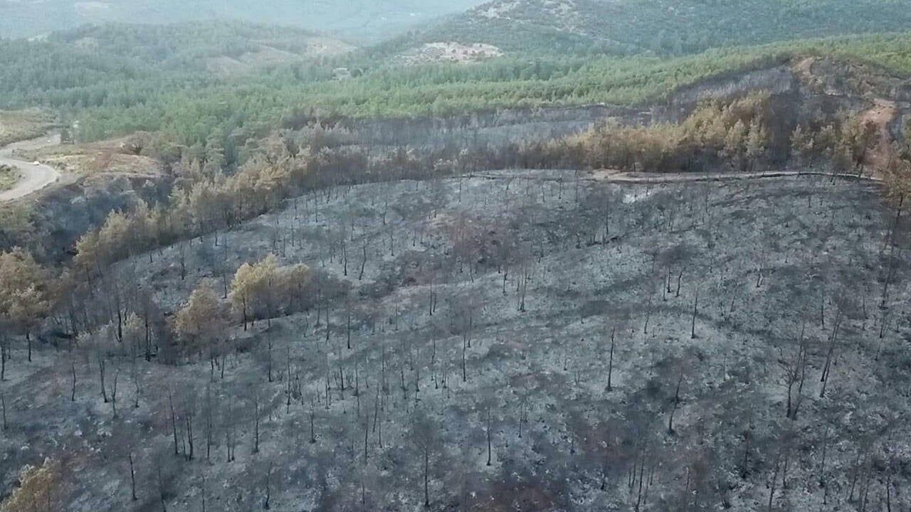 Muğla Yangın Bilanço Dron.jpg