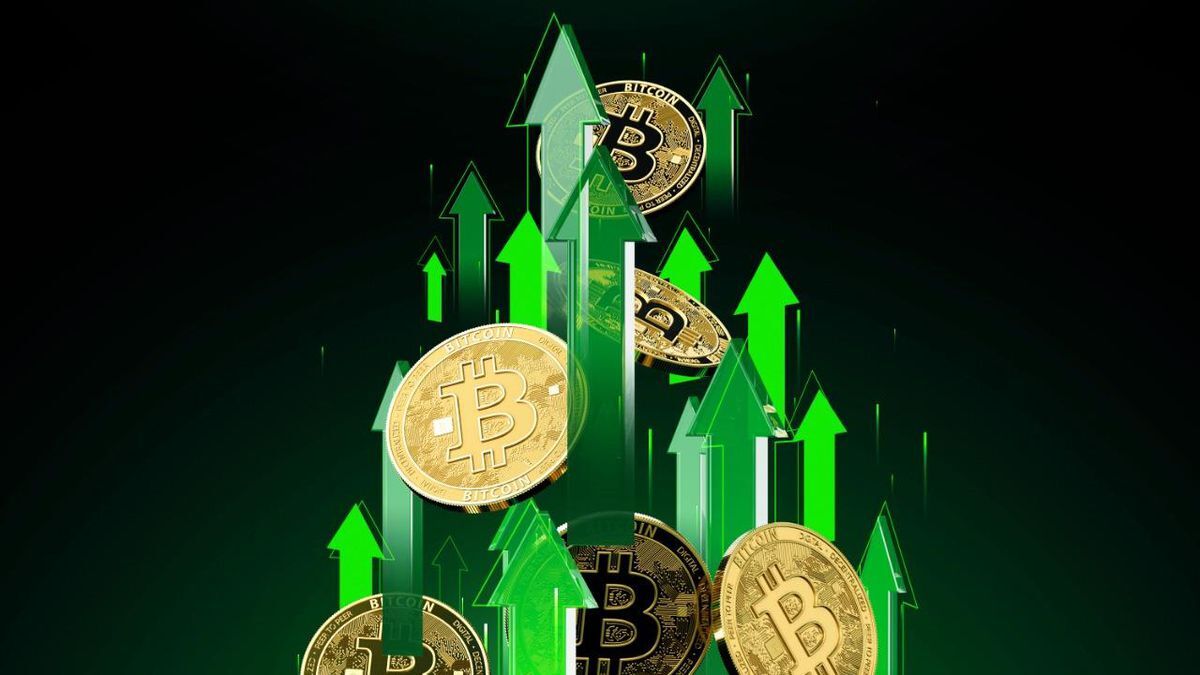 Bitcoin Artış (1)