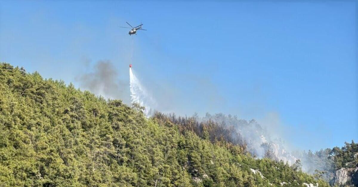 Muğla Orman Yangini (2)